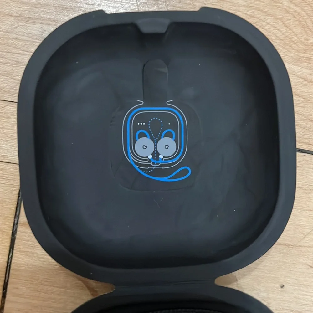 Google Earbud Headphones